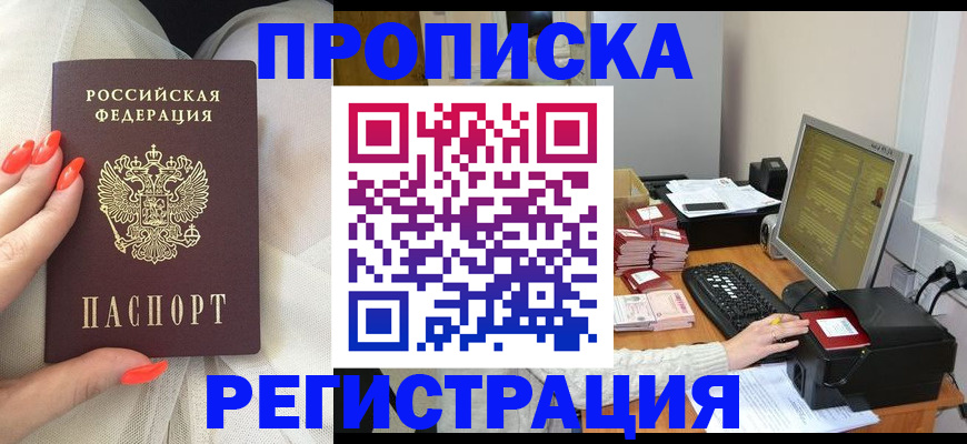 где прописаться в Ельне